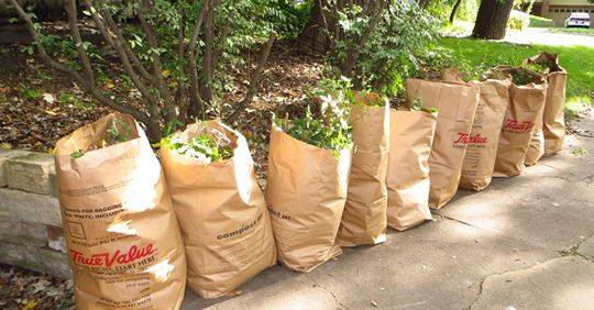 yard waste yard waste