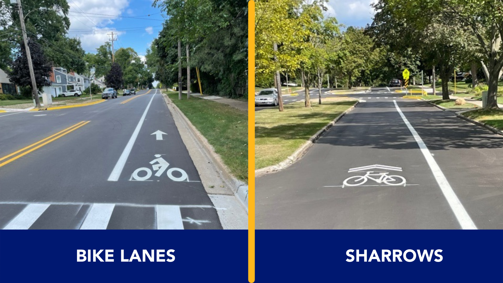 Bike lanes versus sharrows