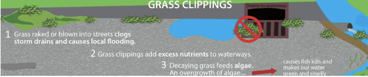 Avoid placing grass clippings in the street