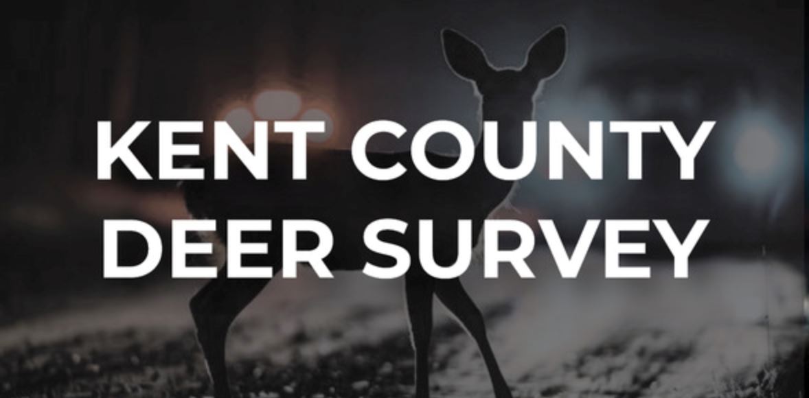 Kent County deer survey