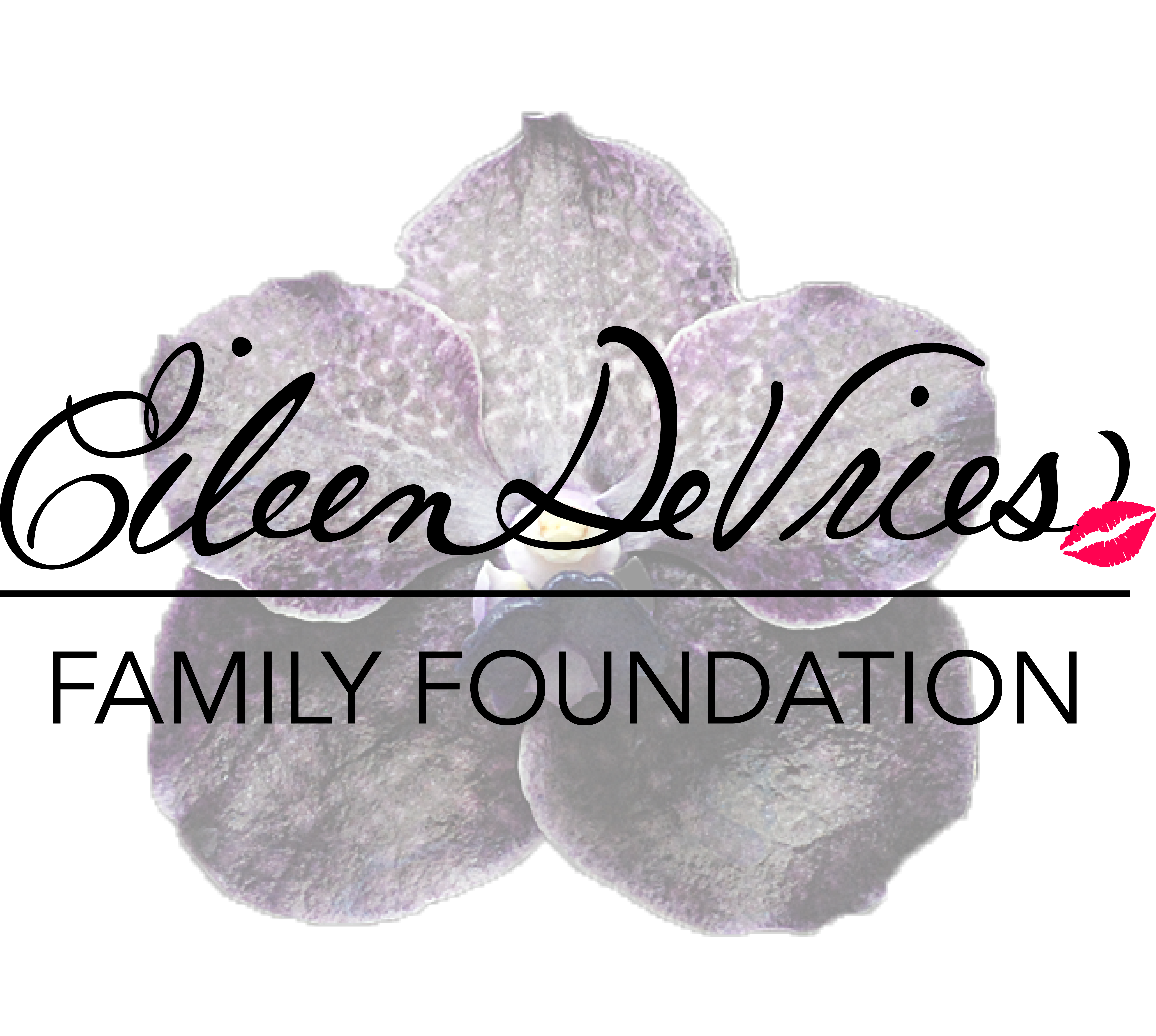 DeVries Family Foundation Logo